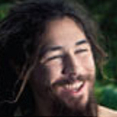 Сектор Газович