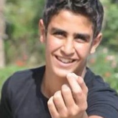 Yasmine Mahmoud Saleh