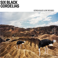 Six Black Cordelias