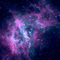 Nebula Cortex