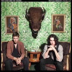 The Echo and The Sound