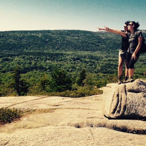 Oops I Did It Again - Freedom Fry  (Featured On Greys Anatomy)