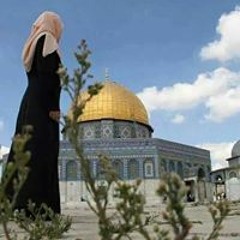 هاجر محمد