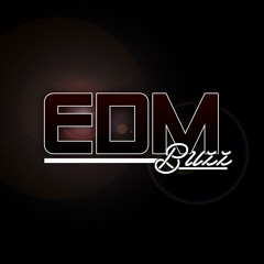 EDM Buzz Repost Service 5