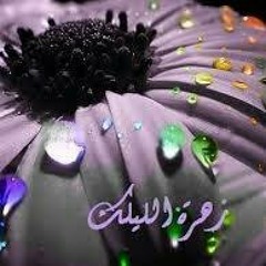 Hassan Harb Latmiyye Zeinabu Waddeini حسن حرب زينب ودعيني.mp3