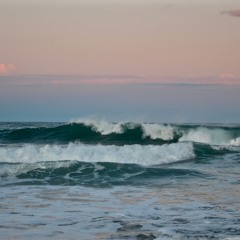 marine_moulle