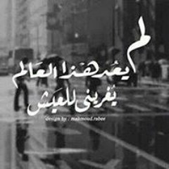Lola Shaheen
