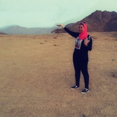 SoHaila Hamdy Reyad