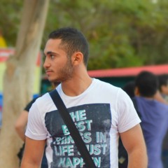 Omar S. Gaafar