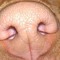 Roobls Pig