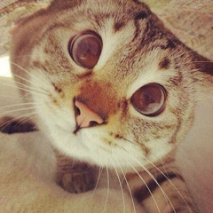 Лев Некрасов