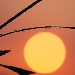 calum thesecretwriter