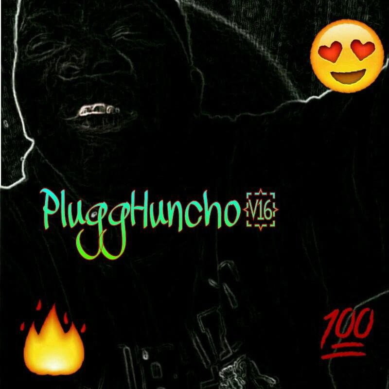 Plugg Hundo