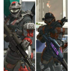 dualweildedproductions