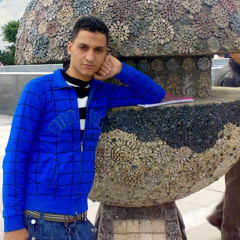 Kareem abdel raouf