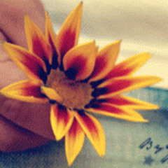 walaa embaby