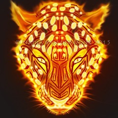 Jaguar Suns