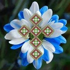سوسنة فايز