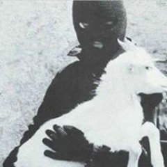 Ted Black