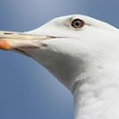 intergalactic lovers