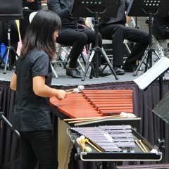 Robert Schumann 5 pieces in Folk Style, Op. 102 (1/3)