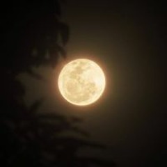 মহা শূন্য
