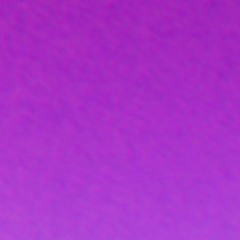 Elviria Clique Records