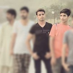 PML N