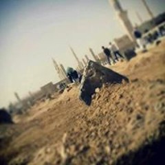 محب الصحب والآل