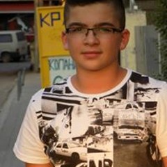 Никола Достин