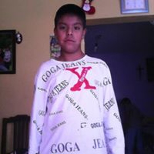 Lopez Romero Braulio’s avatar