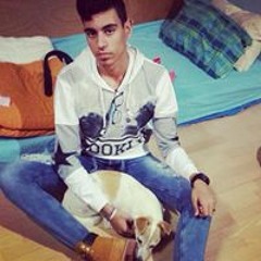 דניאל ברזילי