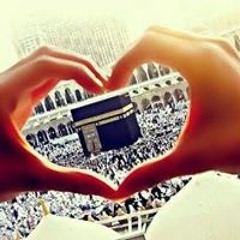 Mohammed Abd El Megeed