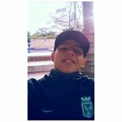 David V Saldarriaga