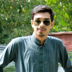 Ahmed S. Abdullah