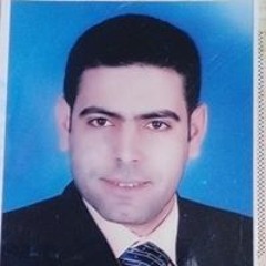 Hussein Mohamed Mostafa