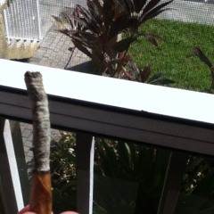 Sebastian Chamorro 3