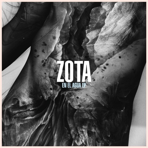 Zota - En el Agua’s avatar