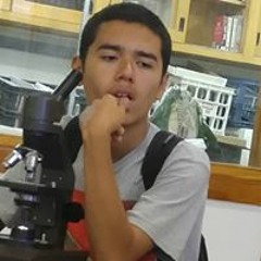 allan