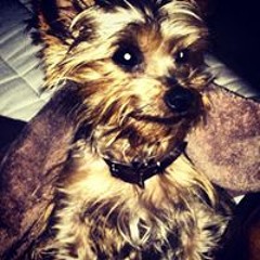 Martin Lane Kueckelhan