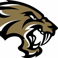 DJ Zone  (FIRE BEATS)