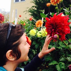 Carolyn Adolph kuow.org