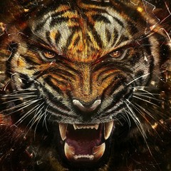 Wild Cat