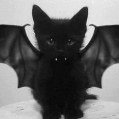 VKC (VampireKittyCat)