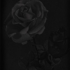 blackroses