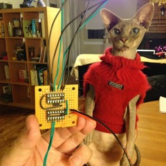 ACS-85-0540  No Warble