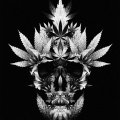 Hard To Kill