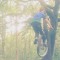 Dylan Pinner