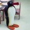 Pingu Militia