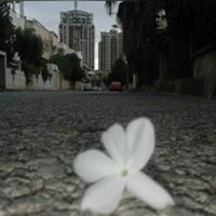 Doaa Albaba